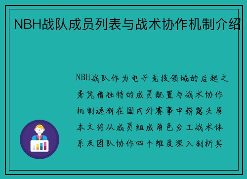 NBH战队成员列表与战术协作机制介绍